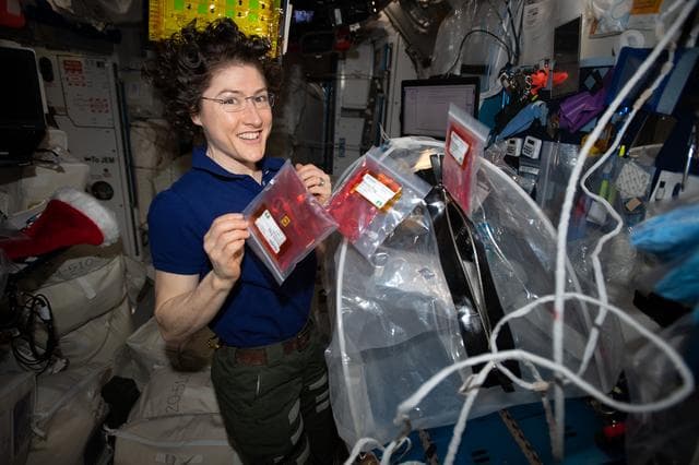 NASA image: iss061e093848