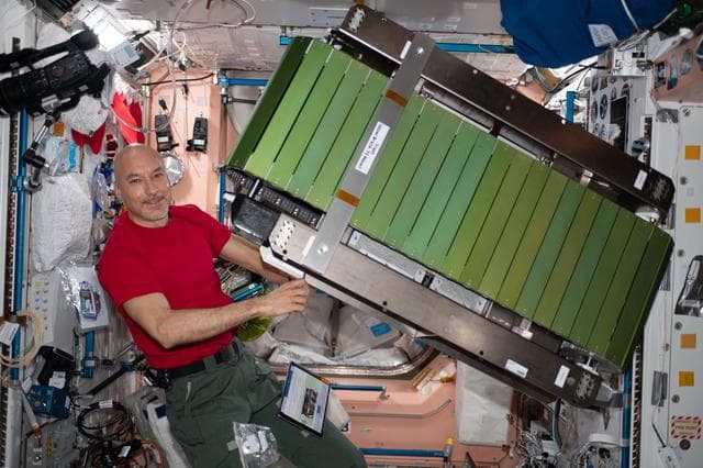 NASA image: iss061e093907