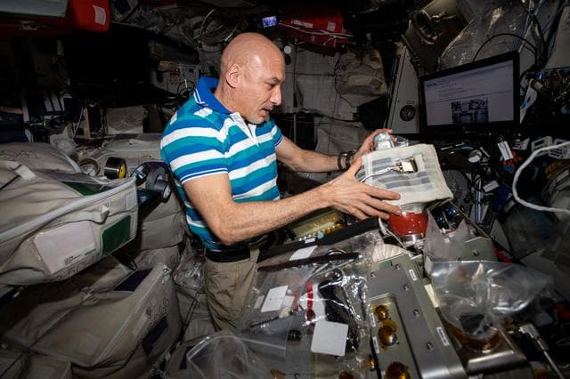 NASA image: iss061e111401