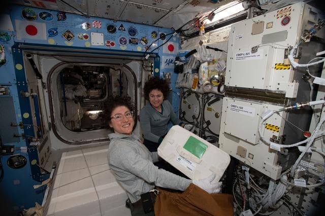 NASA image: iss061e120292