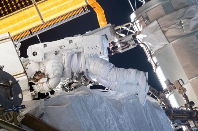 NASA image: iss061e129665