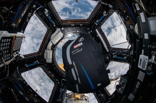 NASA image: iss061e145988