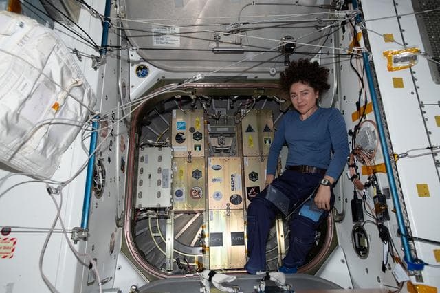 NASA image: iss061e147761