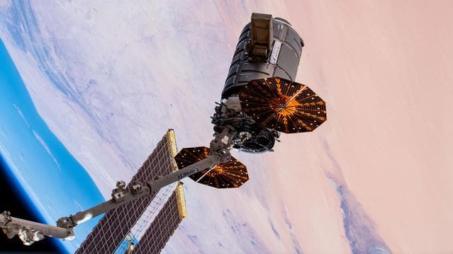 NASA image: iss061e150137