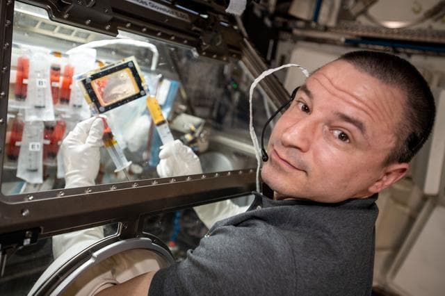 NASA image: iss062e038364