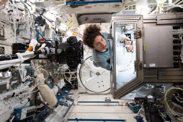 NASA image: iss062e075187