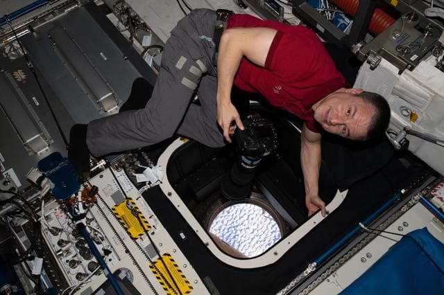 NASA image: iss062e081076