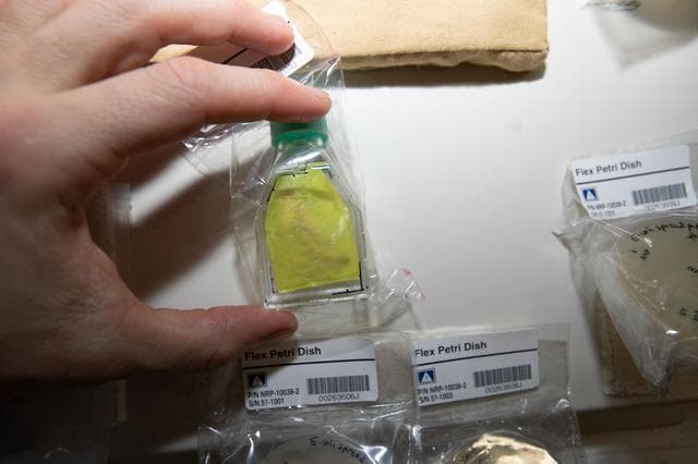 NASA image: Nanoracks Module 51