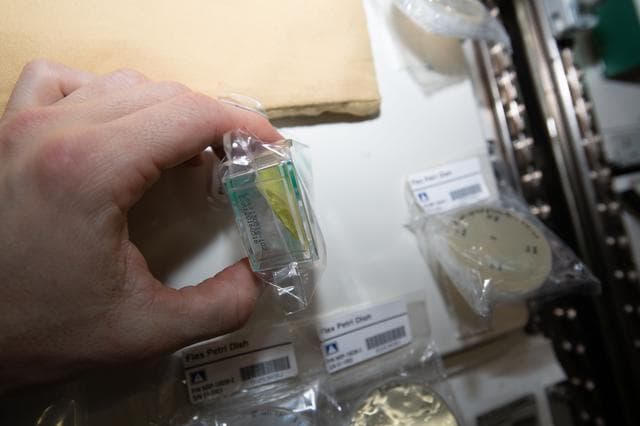 NASA image: Nanoracks Module 51
