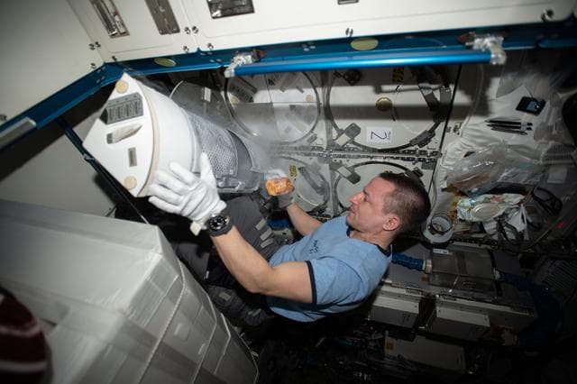 NASA image: iss062e105759