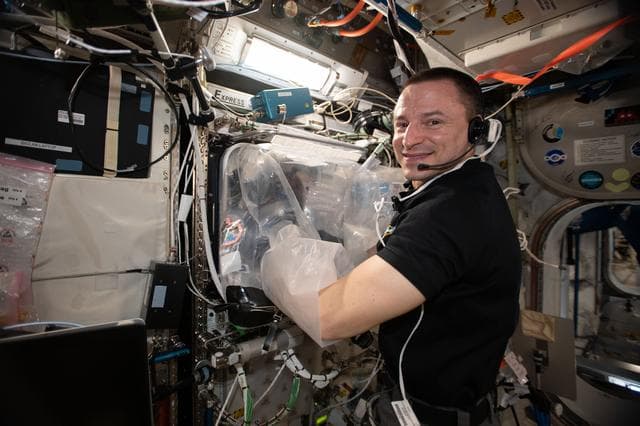 NASA image: BioFabrication Facility Cleaning Syringe Install