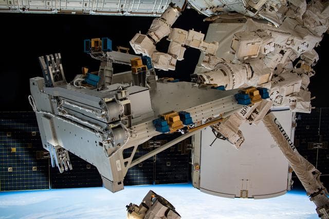NASA image: Bartolomeo