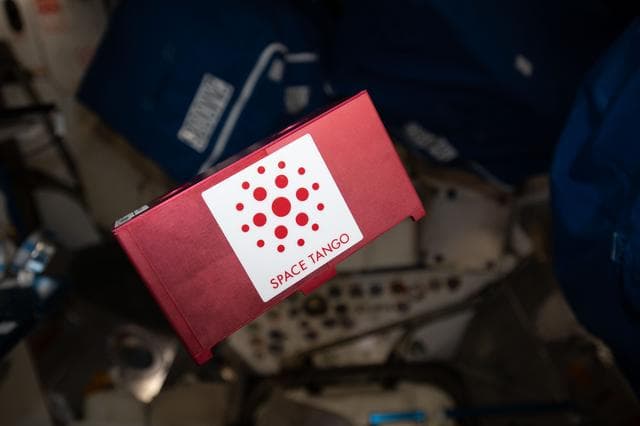 NASA image: Microgravity Exposure on Medicinal Plant Seeds