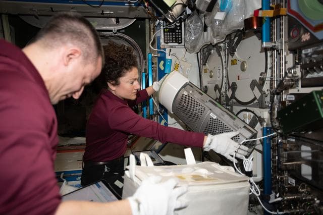 NASA image: iss062e123483