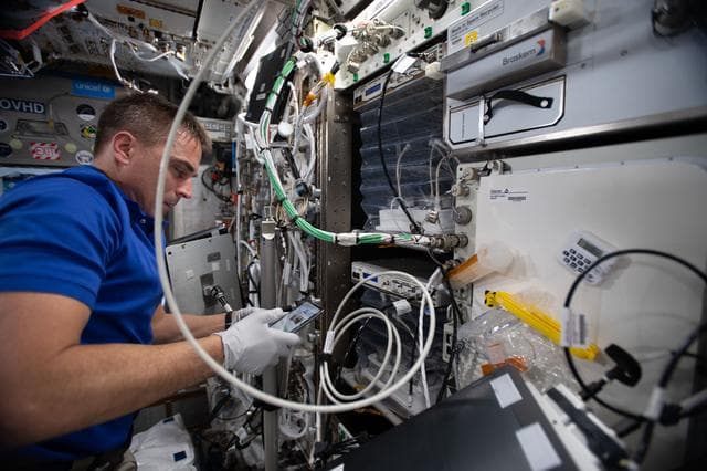 NASA image: iss063e000050