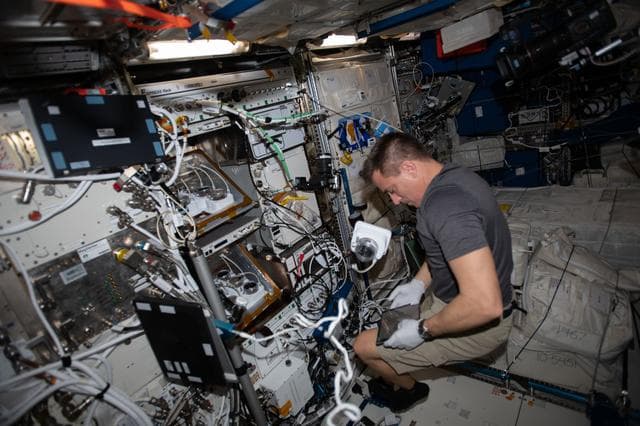 NASA image: iss063e001867