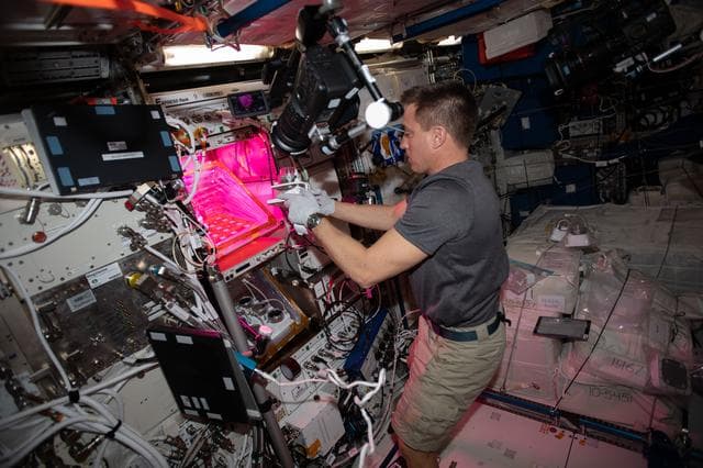 NASA image: iss063e001873