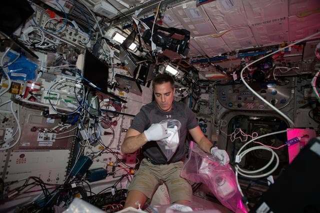 NASA image: iss063e001883