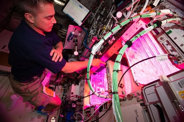 NASA image: iss063e003907