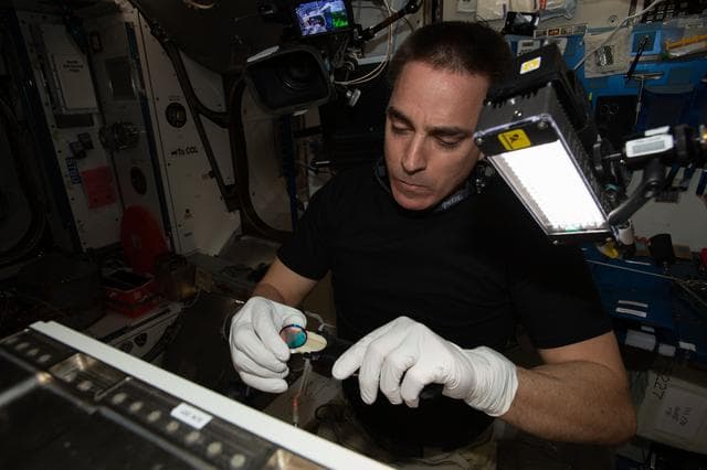 NASA image: Spectrum Experiment Hardware Setup