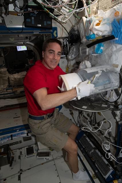 NASA image: iss063e027945