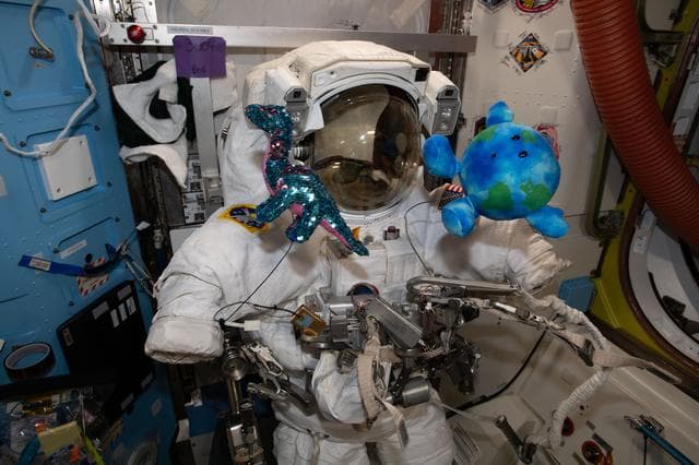 NASA image: iss063e030657