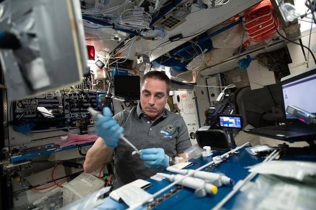 NASA image: iss063e063777