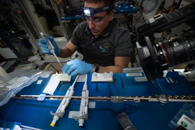 NASA image: iss063e063823