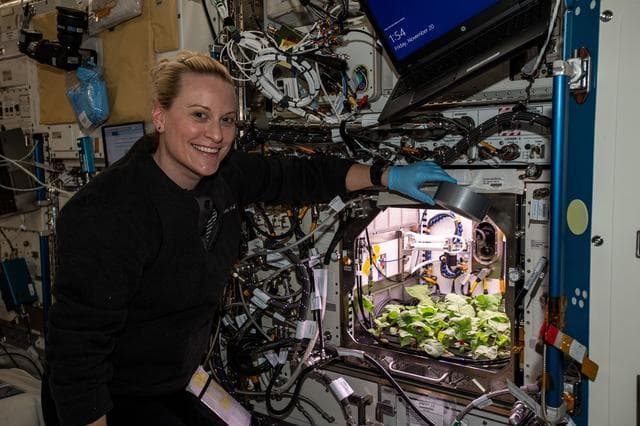 NASA image: iss064e004997