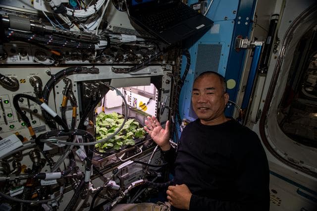 NASA image: iss064e005001