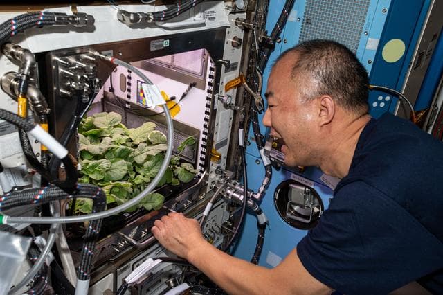 NASA image: iss064e006454