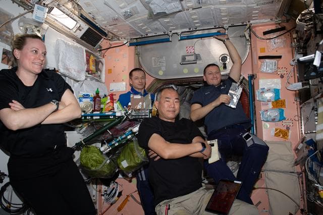 NASA image: iss064e009895