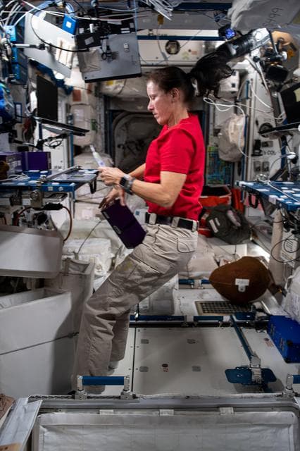 NASA image: Walker conducts Nanoracks-NCESSE-Apollo Experiment OPS