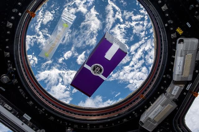 NASA image: iss064e010985