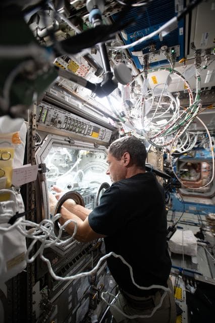 NASA image: iss064e011648