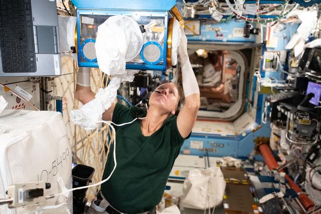 NASA image: iss064e012015