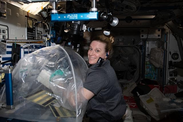 NASA image: iss064e013392