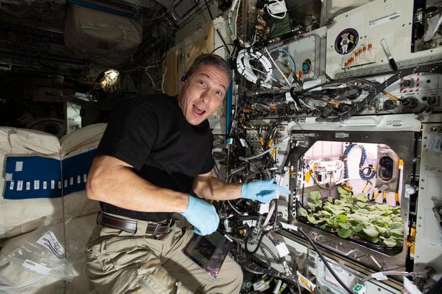 NASA image: iss064e013926