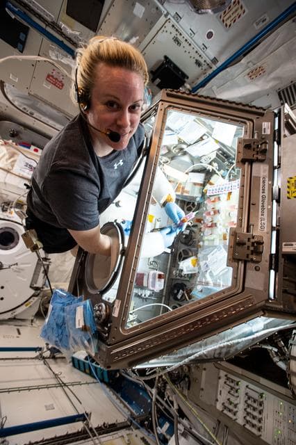 NASA image: iss064e015250