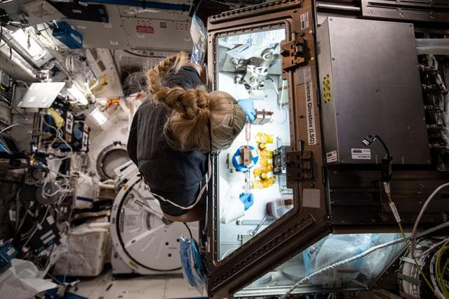 NASA image: iss064e015251