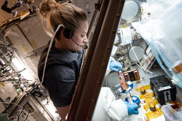 NASA image: iss064e015256