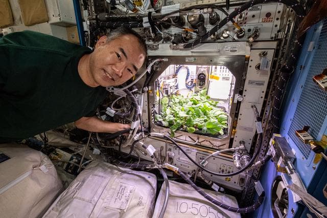 NASA image: iss064e016127