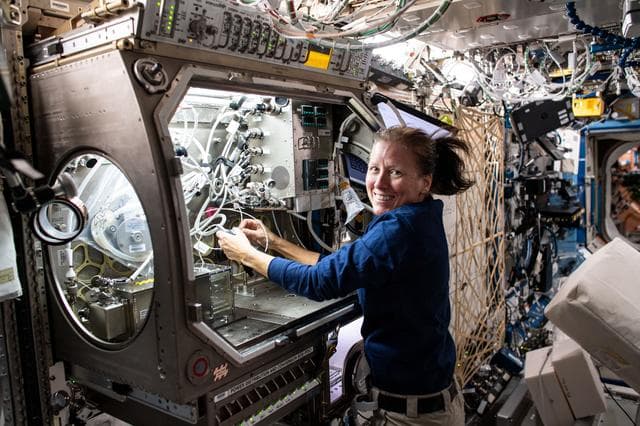 NASA image: iss064e016385