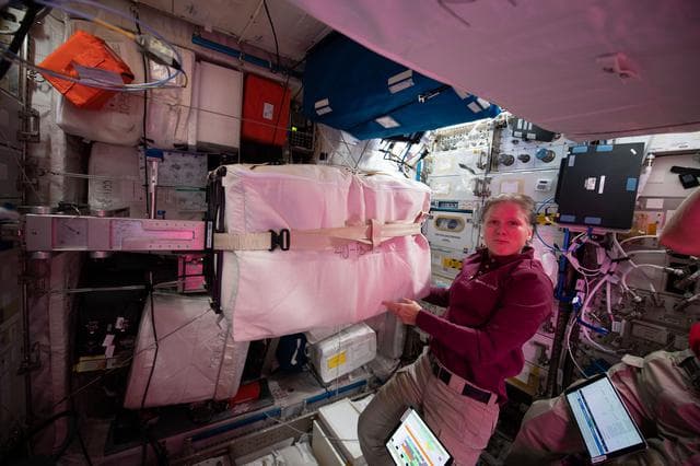 NASA image: iss064e019119