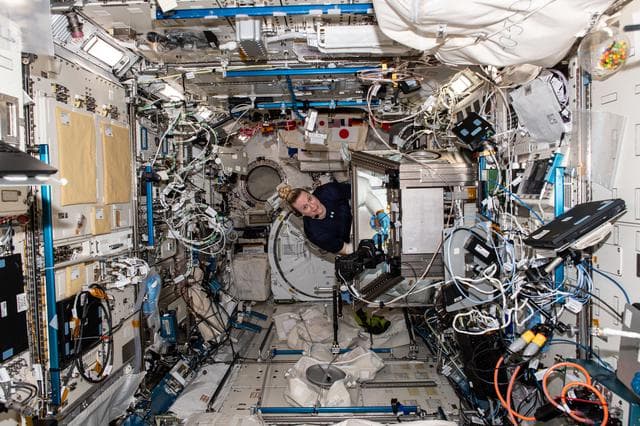 NASA image: iss064e020031