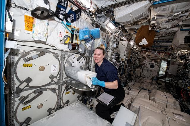 NASA image: iss064e020142
