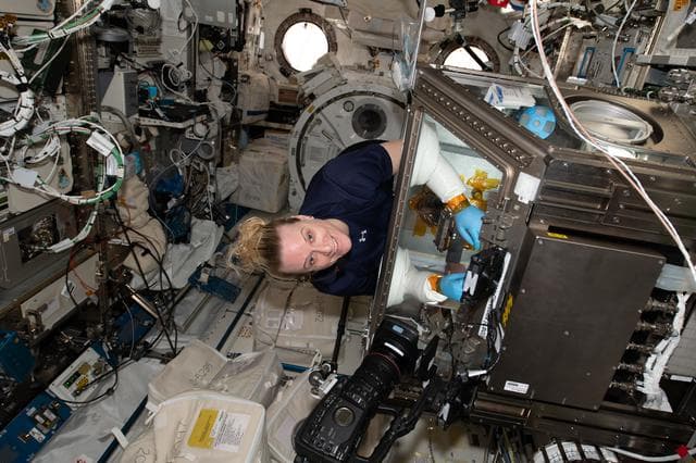 NASA image: iss064e020688