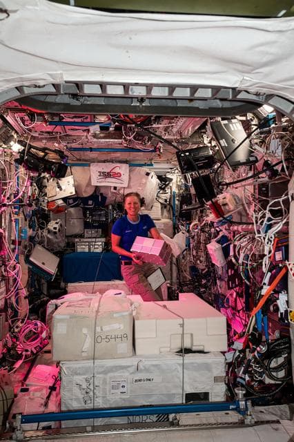 NASA image: iss064e021978