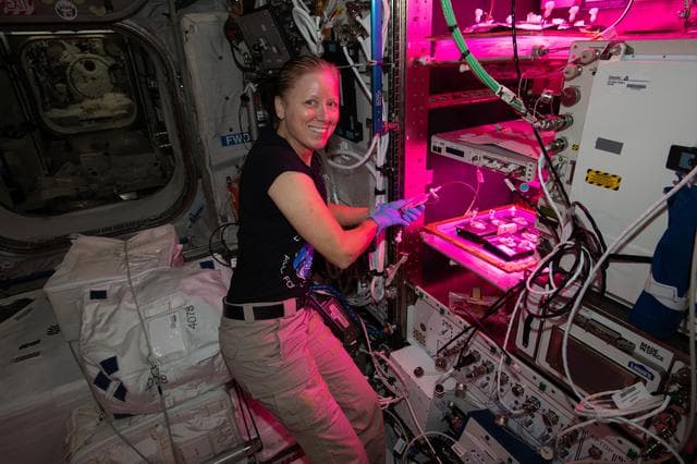 NASA image: iss064e022520