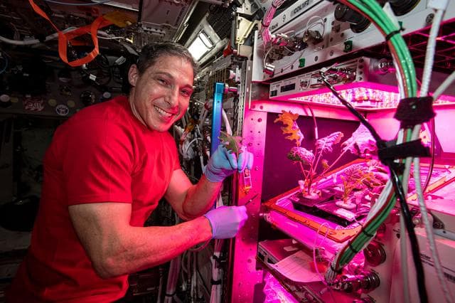 NASA image: iss064e027743